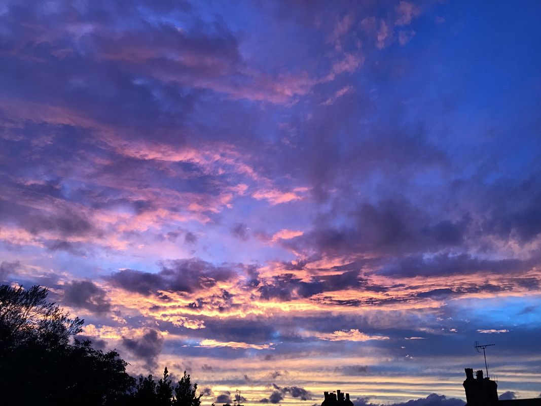 9B68CC5F-0798-429D-B133-3525F6E67FAD