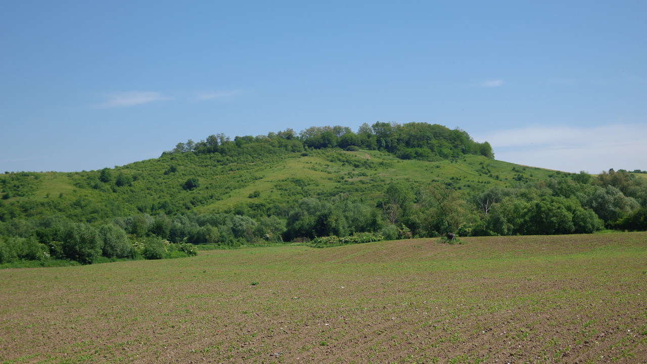 DSC02056.jpg