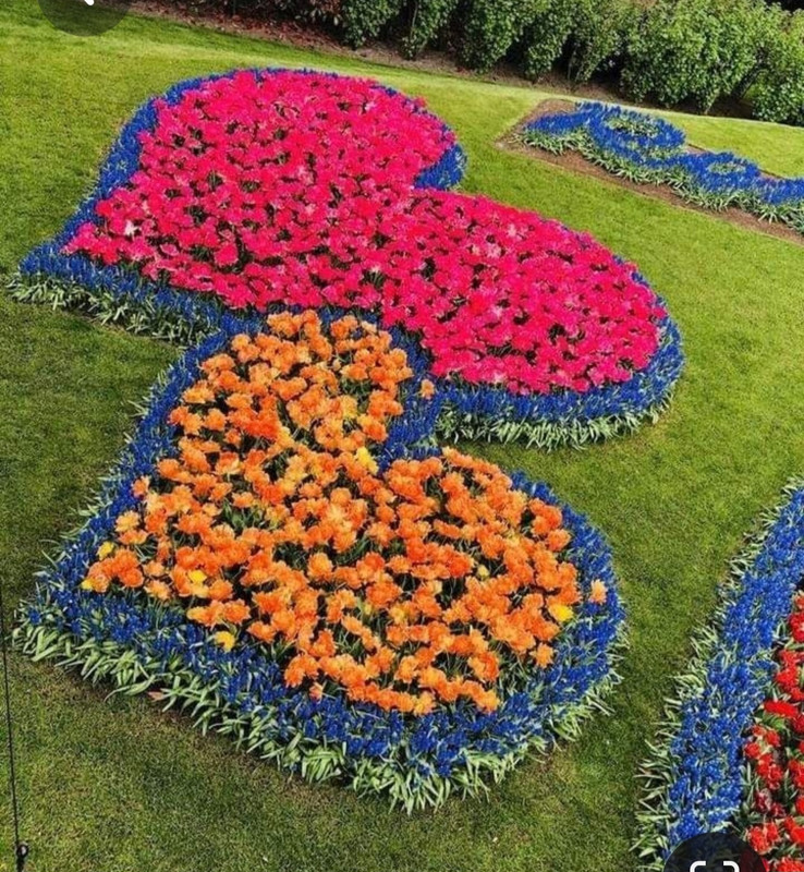 Screenshot_20230611_231823_Pinterest