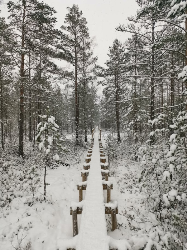 138144914_1939048442928789_1027002418755543809_n