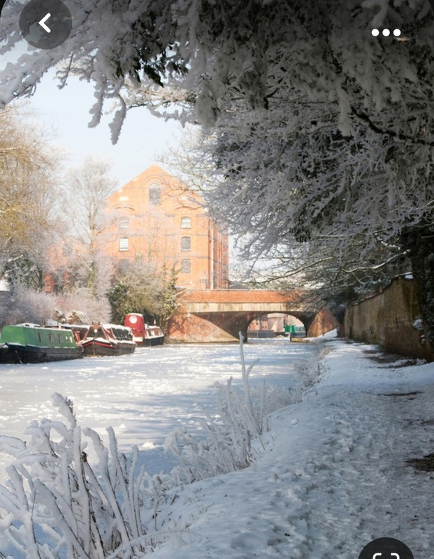 Screenshot_20231101_233008_Pinterest