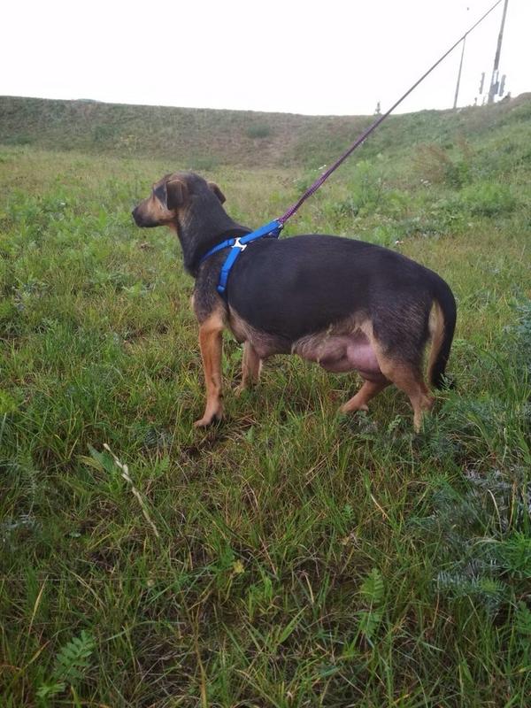 Марта малятко1