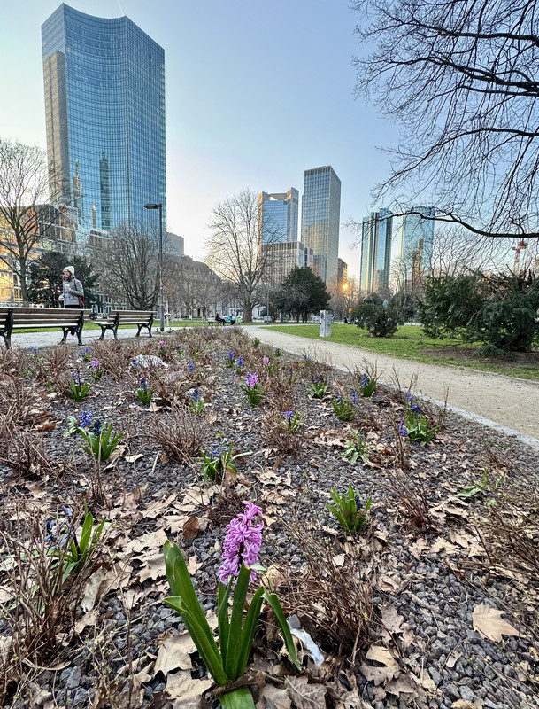 42C4CA7F-8712-4CDE-A5EA-8F1057C05E11_1_201_a