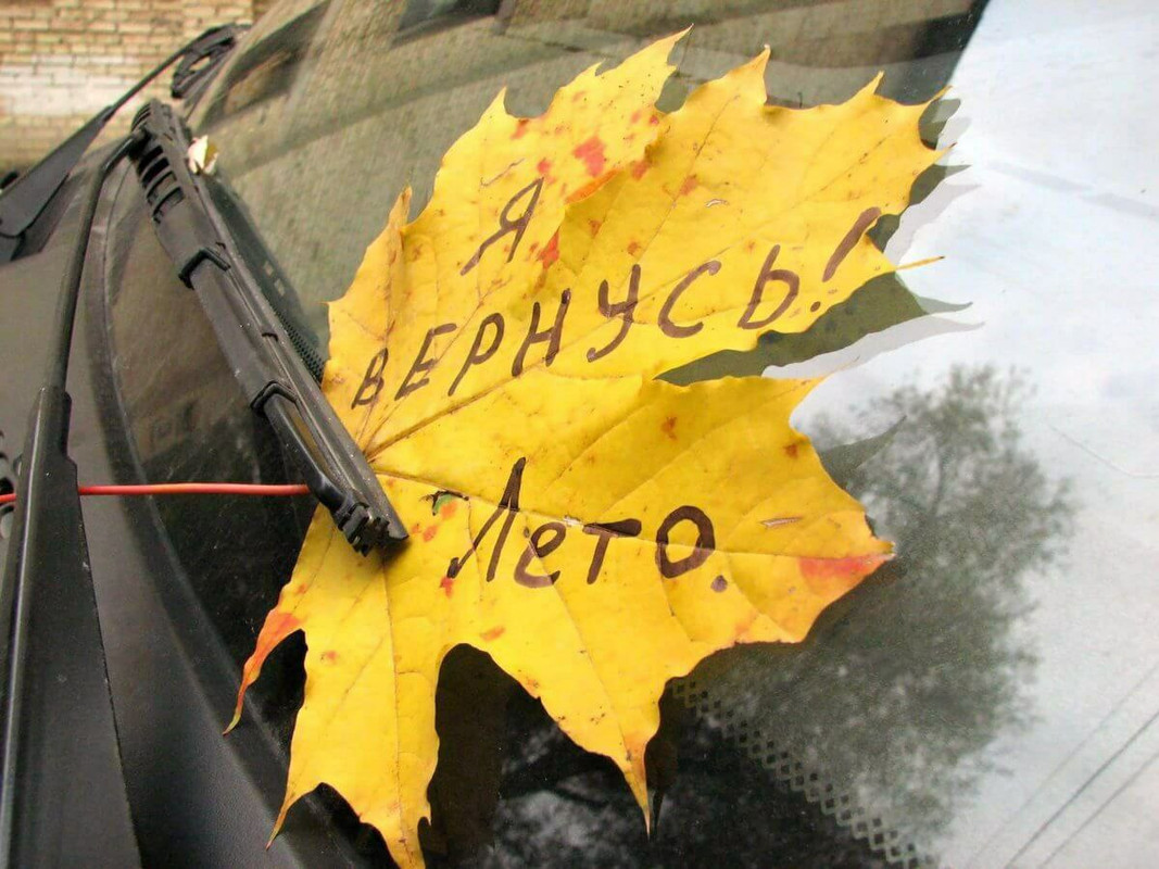 IMG_20230831_134244_245