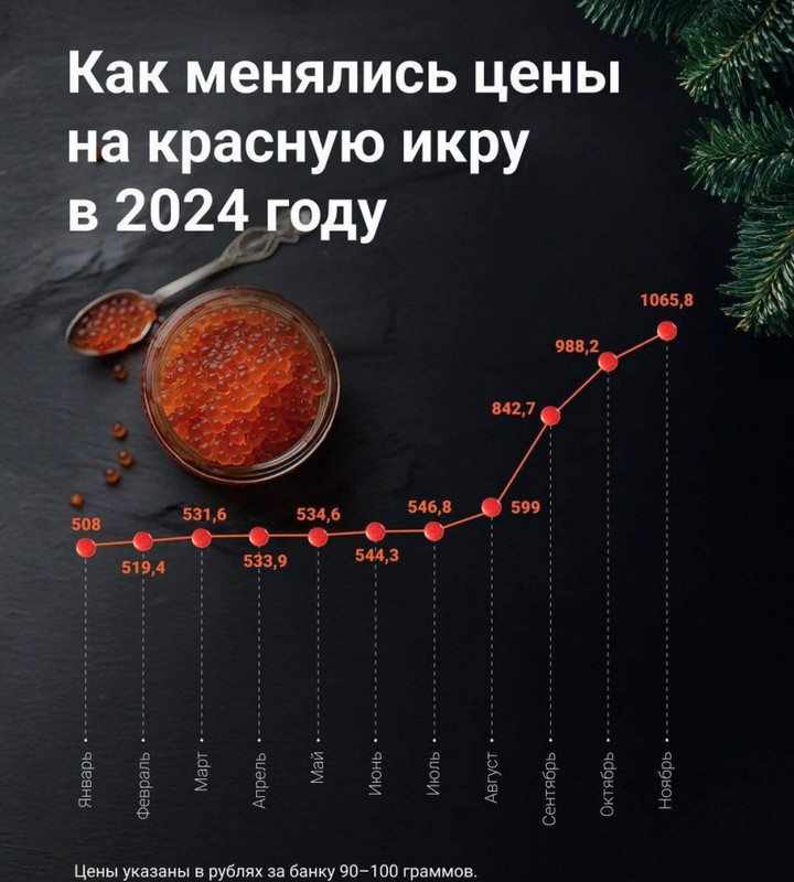 «screen» 2024-12-12 в 11.19.11