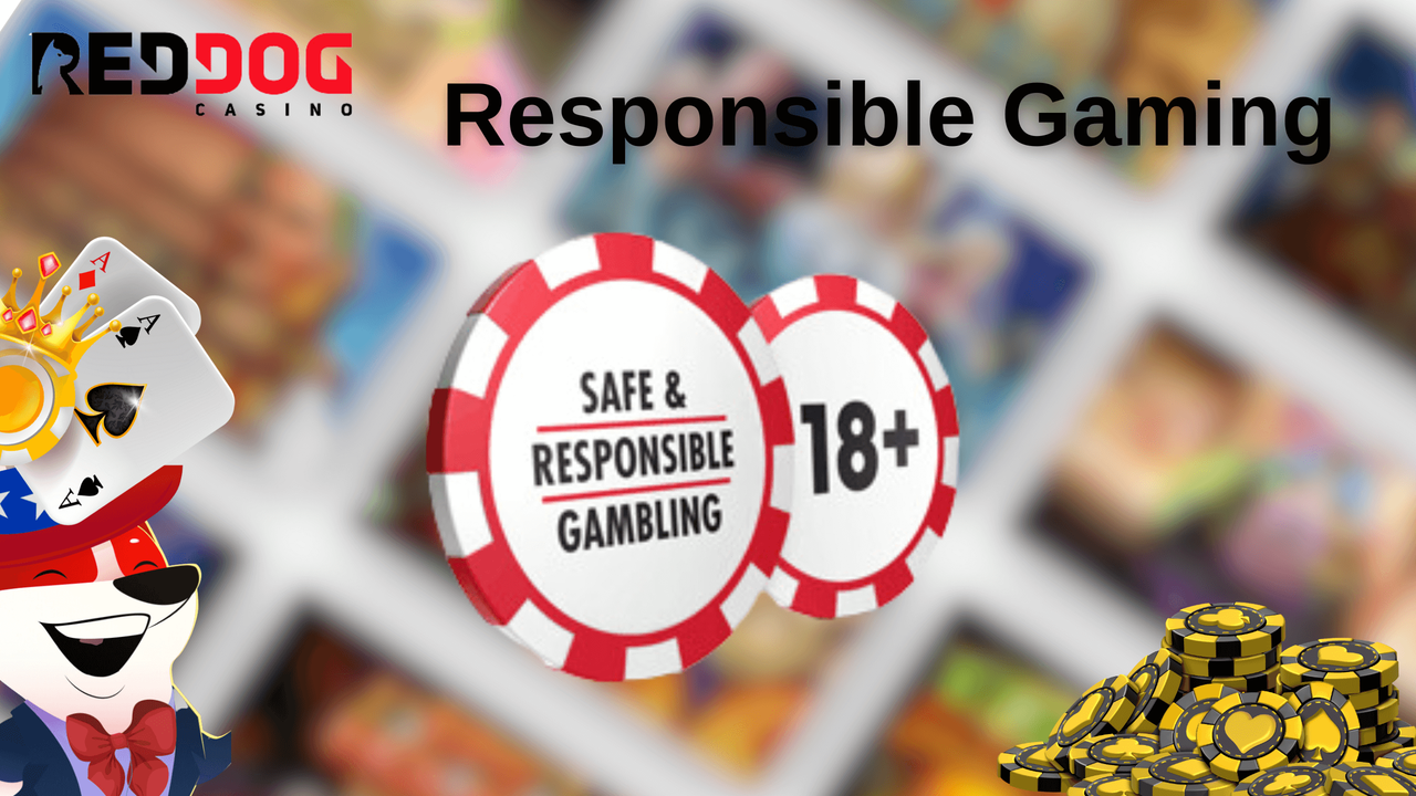 Red Dog Casino Responsible Gaming