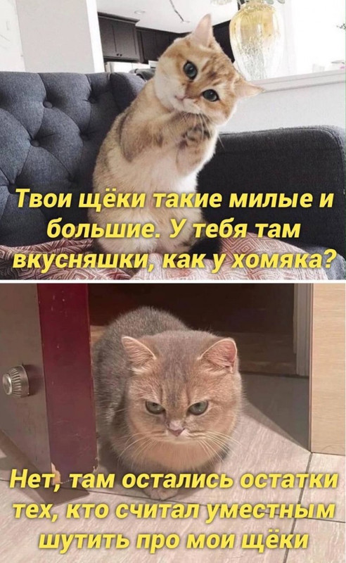 17215814.jpg
