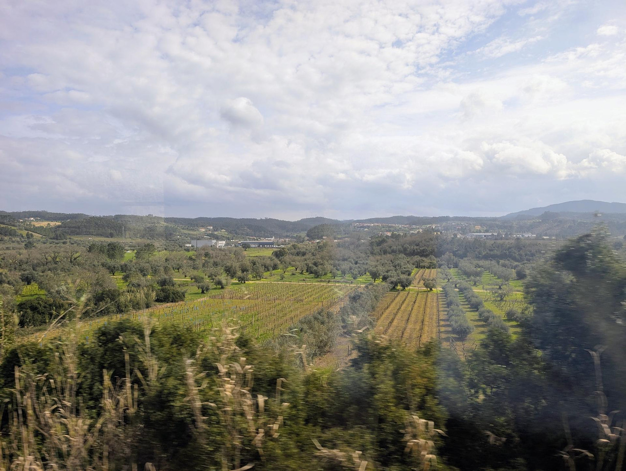 PXL 20260302 115742995 2