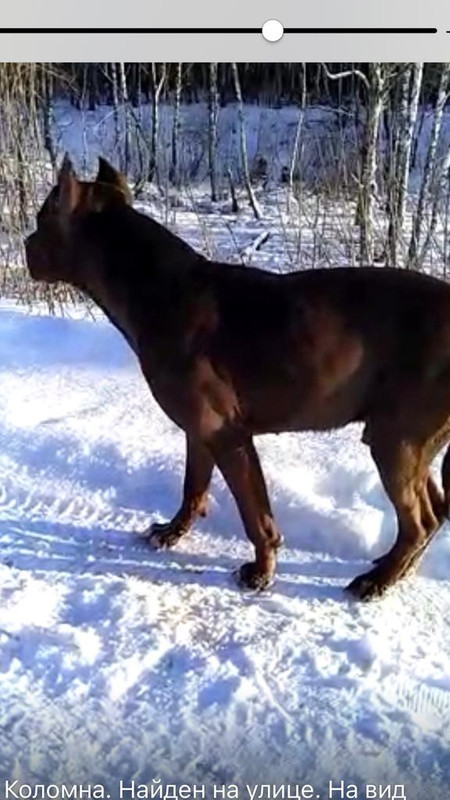 WhatsApp Image 2023-01-06 at 15.30.28 (1)