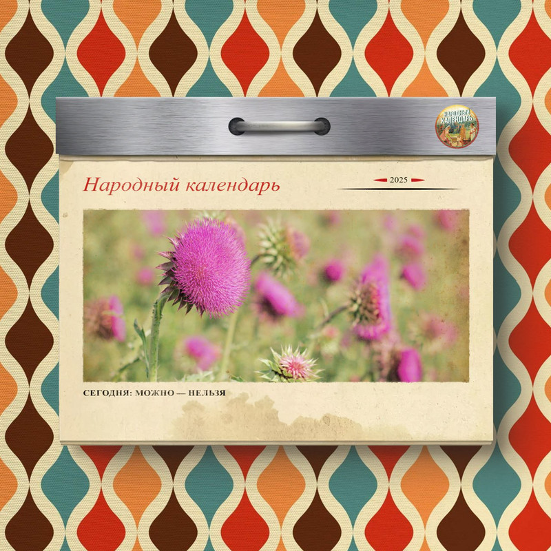 [Изображение: photo-2025-08-24-13-41-45.jpg]