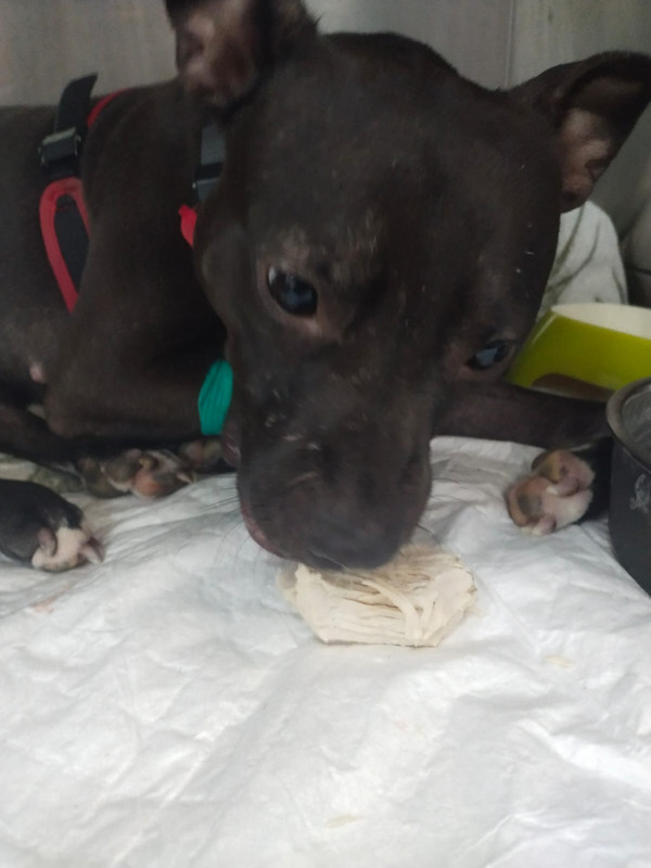 573C82C6-3CDF-41A8-804C-FD69F3D441AF