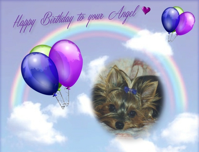 Birthday Angel