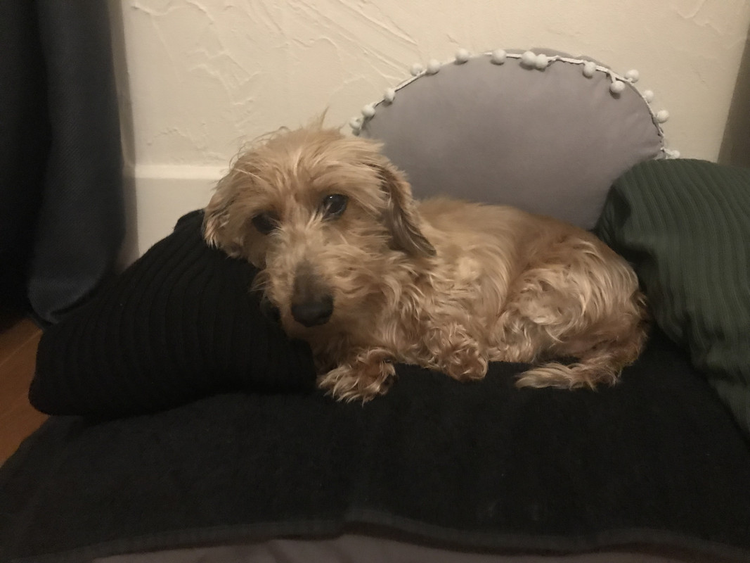 [Image: IMG-1557.jpg]