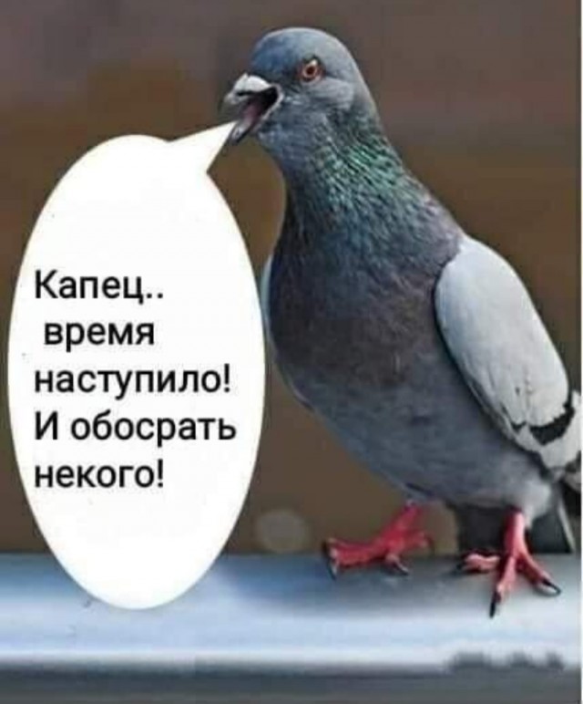 https://i.postimg.cc/7hj5jcS8/14176124.jpg