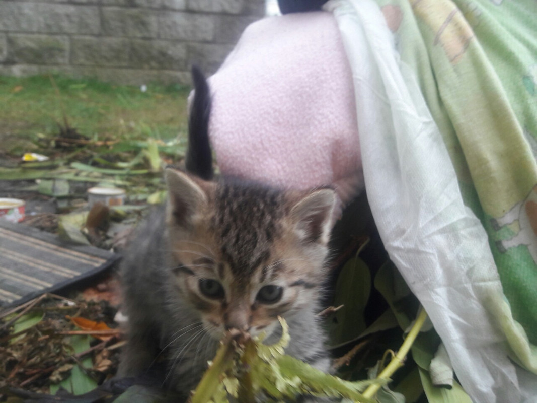 изображение_viber_2019-10rr-09_15-43-20