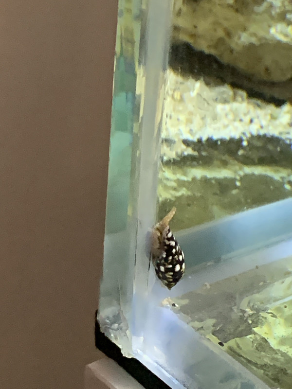 713B5A2C-E686-409D-B910-4DC4718390D1