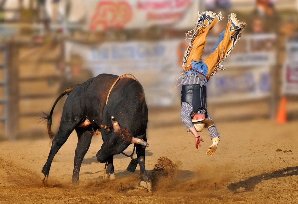 rodeo_ili_skachki_na_bykah_1_20143724