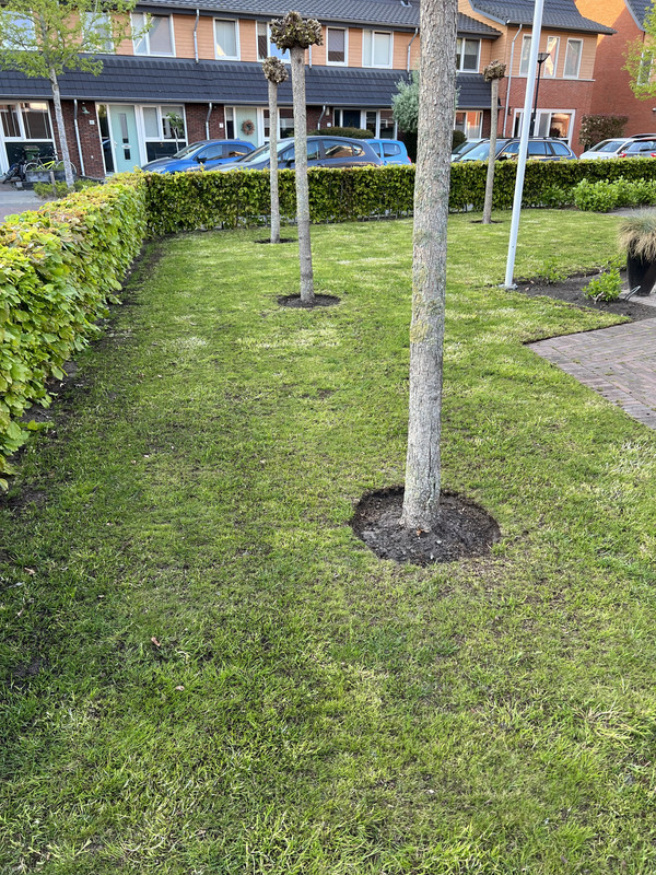 2FF704D6-6A19-4F1E-85E5-2ECF861782D4