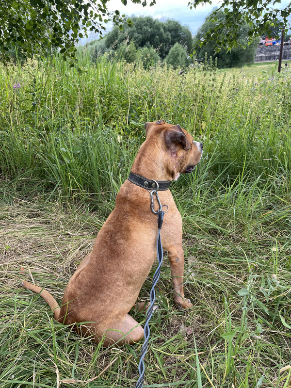 67E67DD1-A15D-4913-85D3-6A04EDE6B883