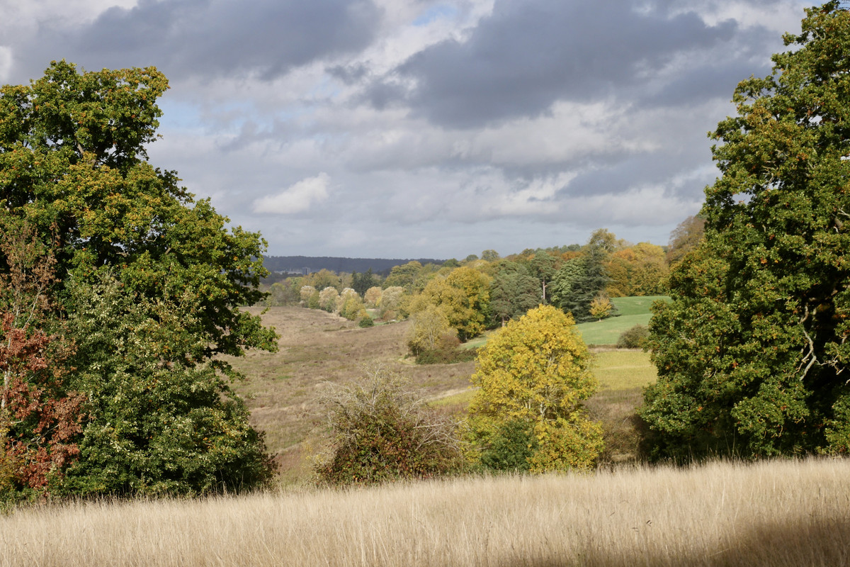 2DC95F76-9D8F-4C09-ADDE-4357FC4CDAE8