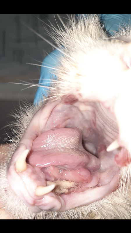 9E59BA0C-5BEC-4ED2-A8F7-6D503B9C6E5B