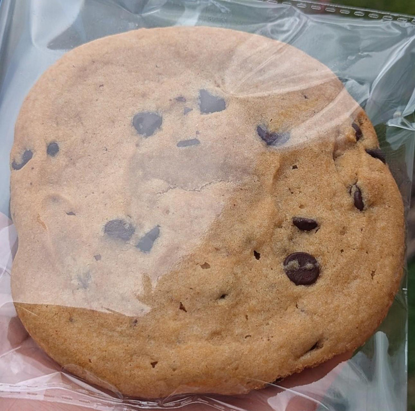 Chocolate Chip Cookie
