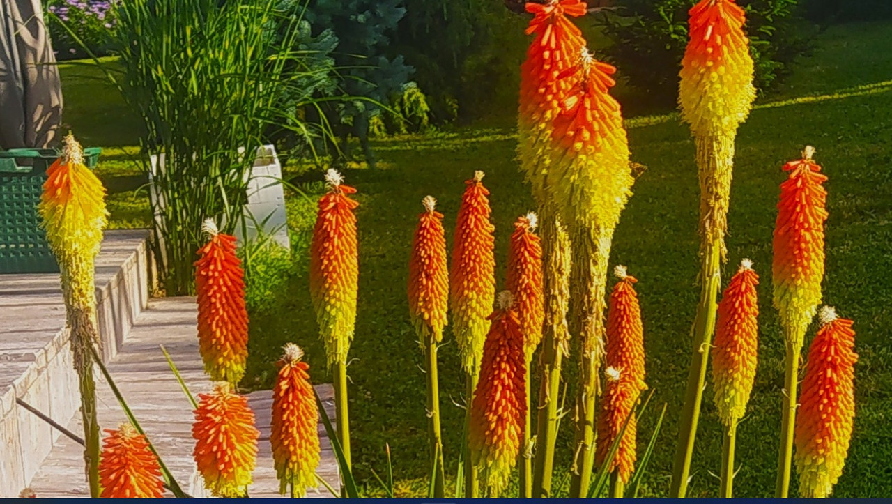 Screenshot 2022-06-05 100002