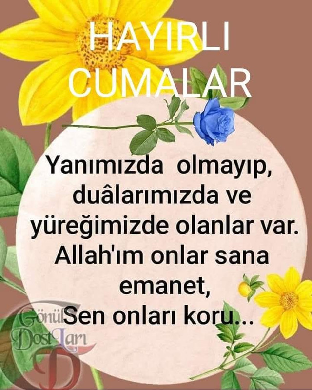 FB IMG 1781203042623