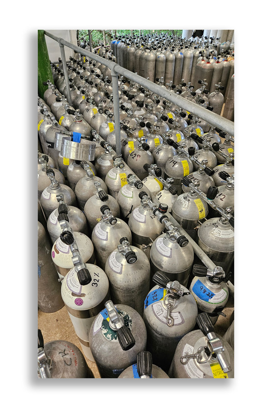 Юкатан. Неделя в декабре 2025