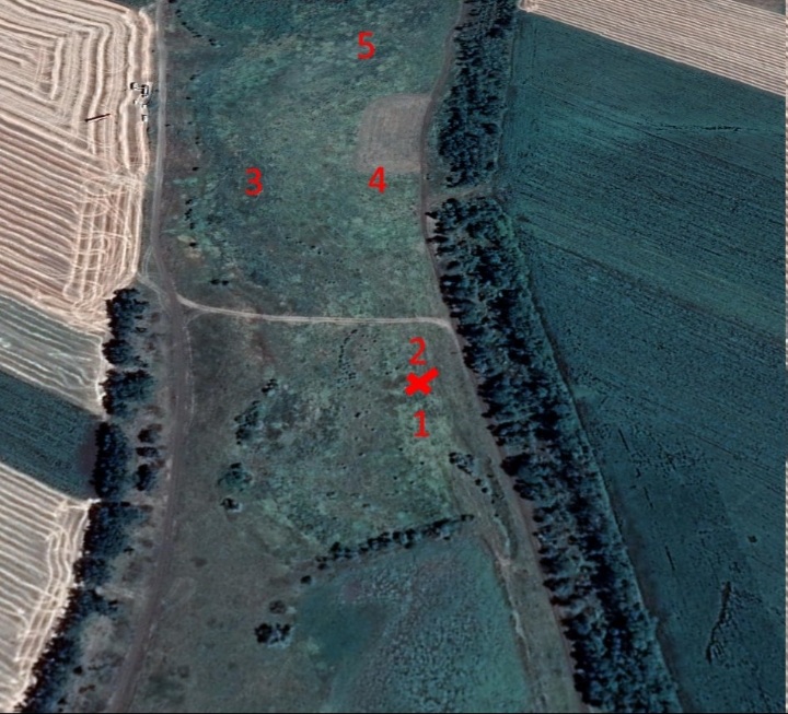 Screenshot-20240511-124429-X.jpg