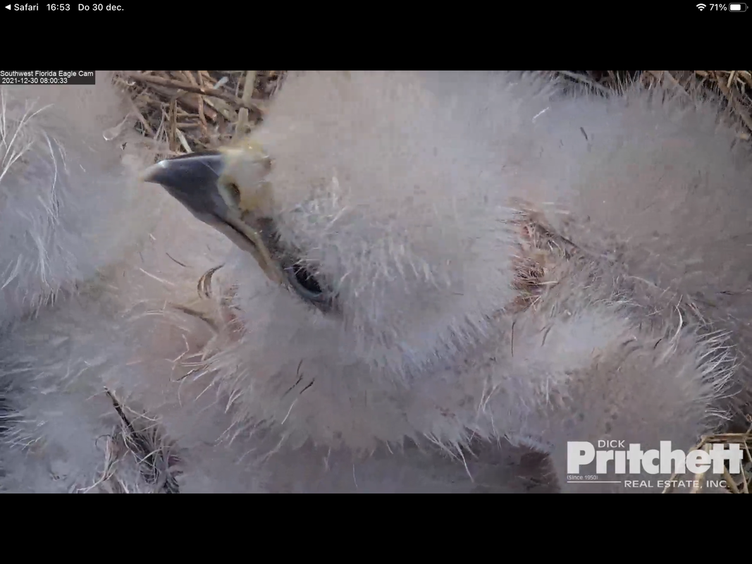 3B02F17C-7847-4E59-A8DE-E40D5B5DB33D