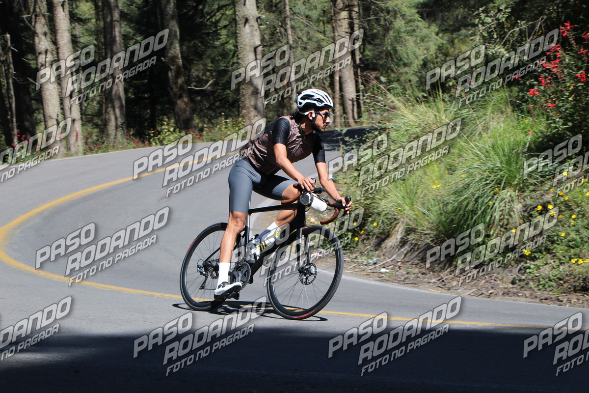 IMG 6859 wm 1112600 2 watermarked — Postimages