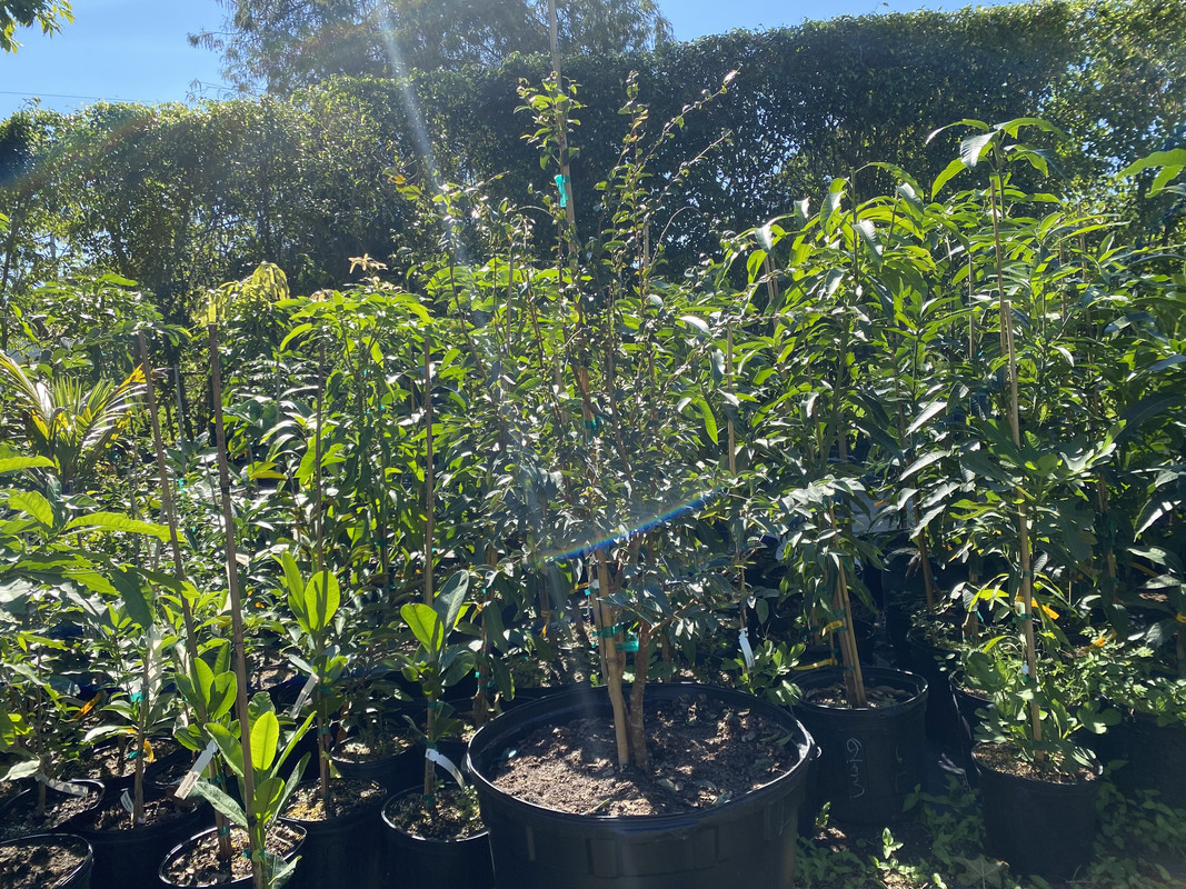 4E7E9748-276C-4E77-8CB0-E67639877E05