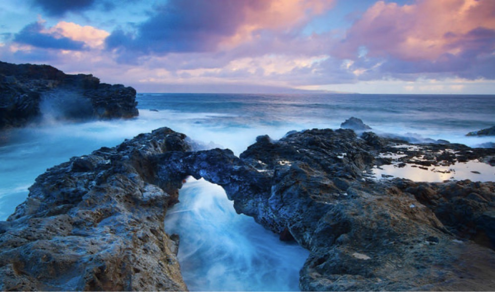 [Image: tide-pools.png]