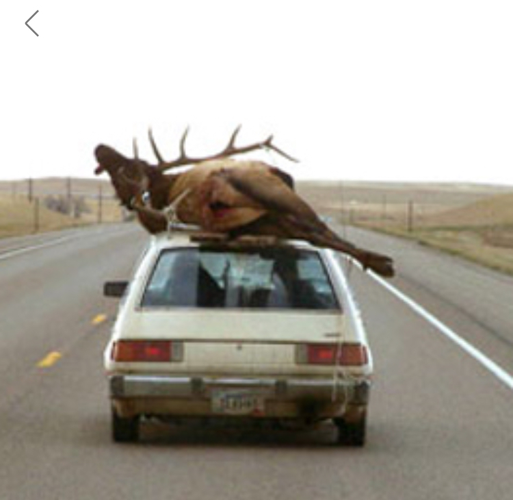 How to Transport a Deer Without a Truck 