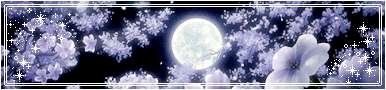 moon moon