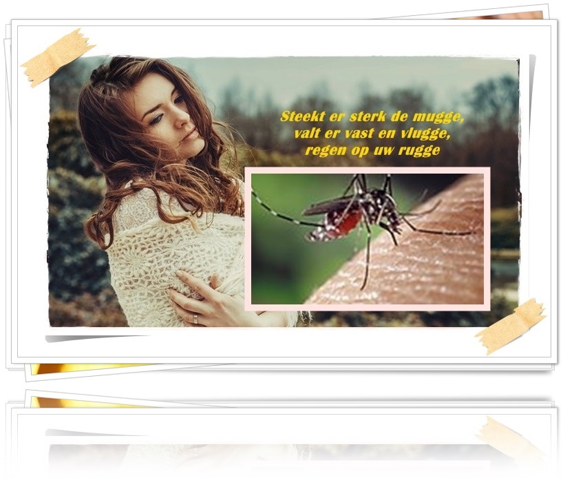 An den Beitrag angehängtes Bild: https://i.postimg.cc/7hmdqdN2/Mug-1.jpg