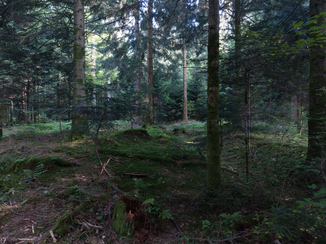 F664E607-F8AA-46F6-BC72-4A7F83A8EA79