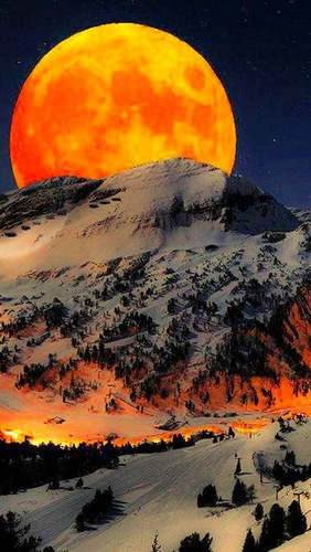 Fall-Orange-Moon-Colorado