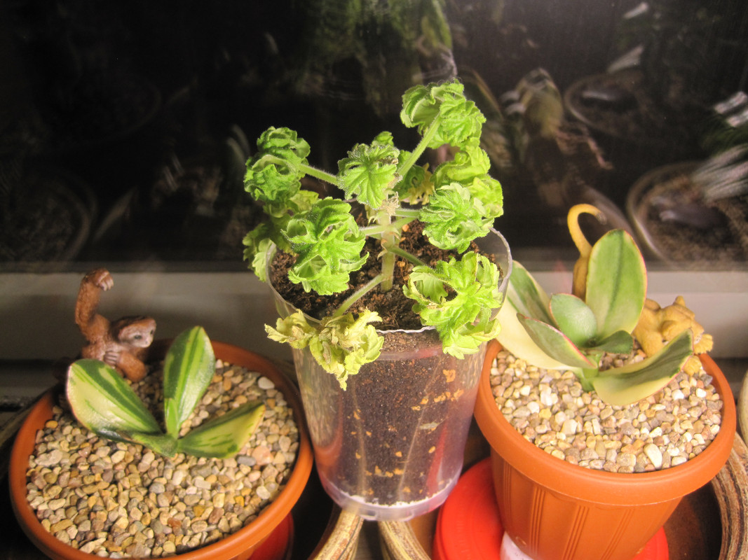 Вечером 30 ноября 2022 г