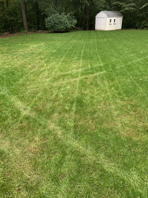 C227E77D-4E57-4DEF-9C52-A63581376352