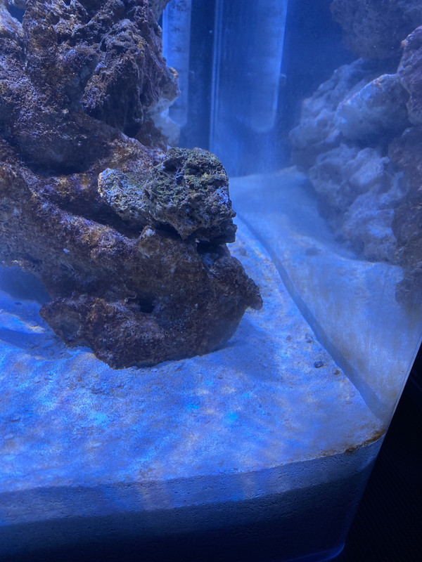 29780408-928A-41CB-9FFC-5B89ED65FA73