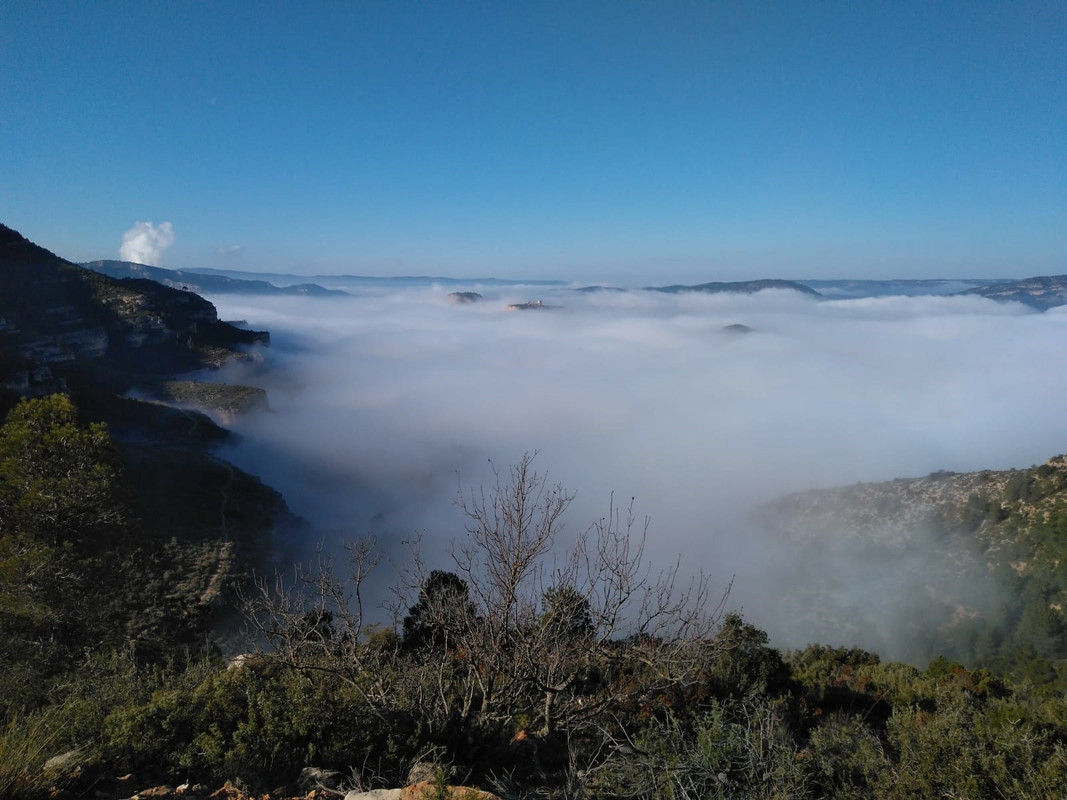 IMG-20181229-WA0037