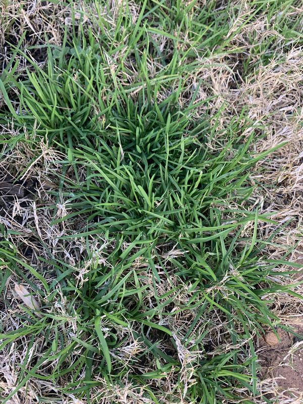 4910439F-F6B9-4C1A-9E69-E0AD29D5F303