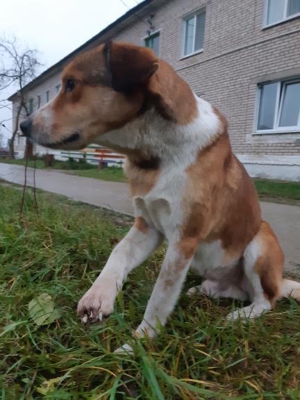 0838CA92-25F4-406C-998E-0B2A57993DBE