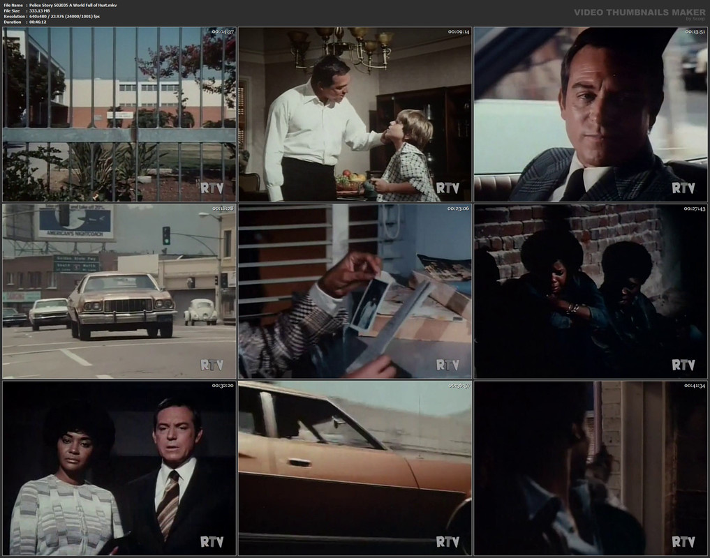 Police Story S02E05 A World Full of Hurt.mkv