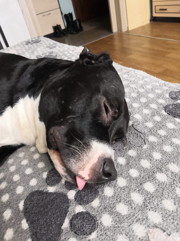 57732CDC-7052-485A-8996-FE374D74B9A3