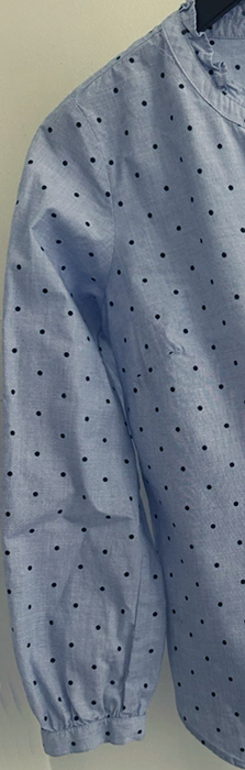 01talbotspolkadottopsleeves1