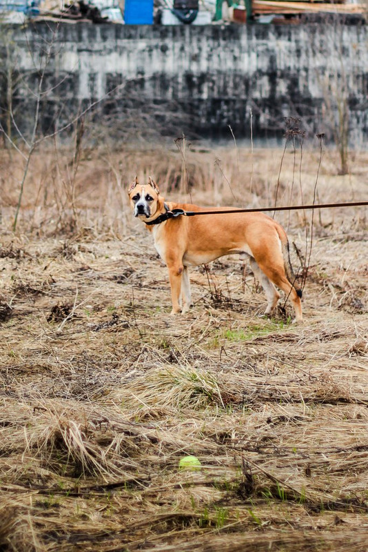 без имени-1245