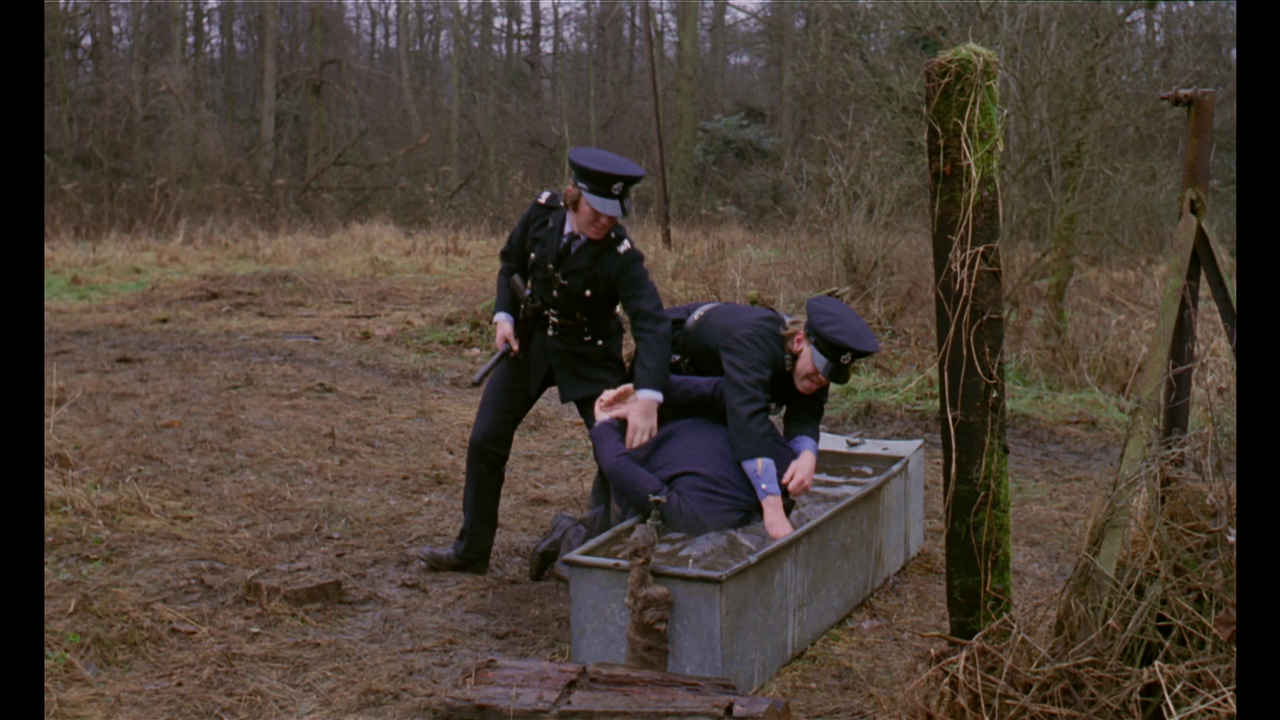 vlcsnap-2022-08-10-21h55m27s974